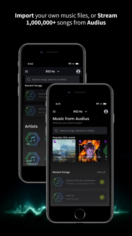 HZP (Hertz Player) screenshot-4
