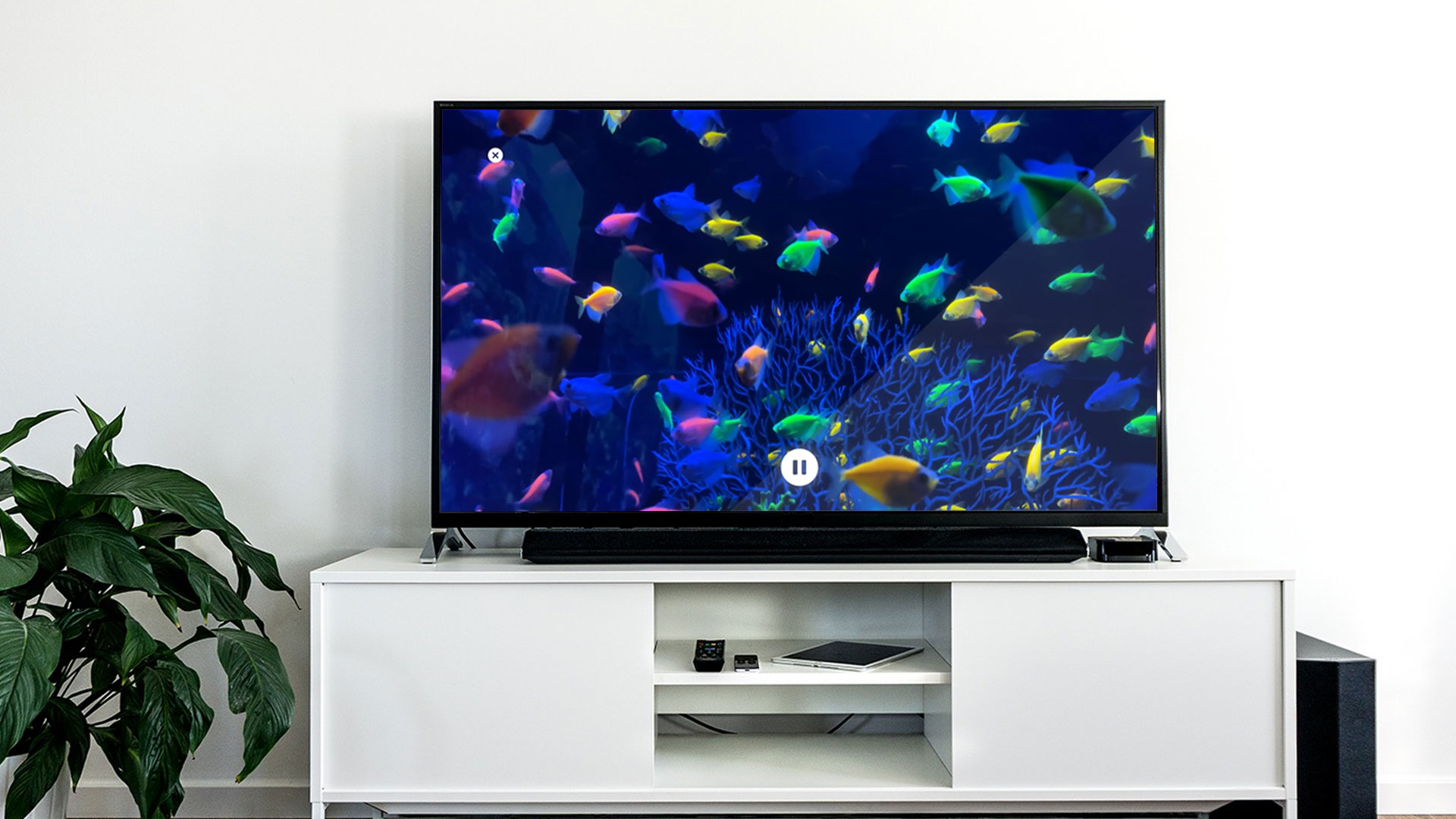 Relaxing Aquarium Ambience screenshot 3