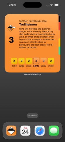 Avalanche Forecast Screenshot 6 of 9