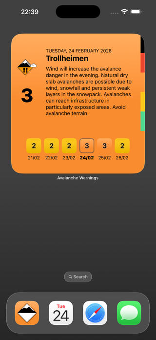 Avalanche Forecast Screenshot 6 of 9