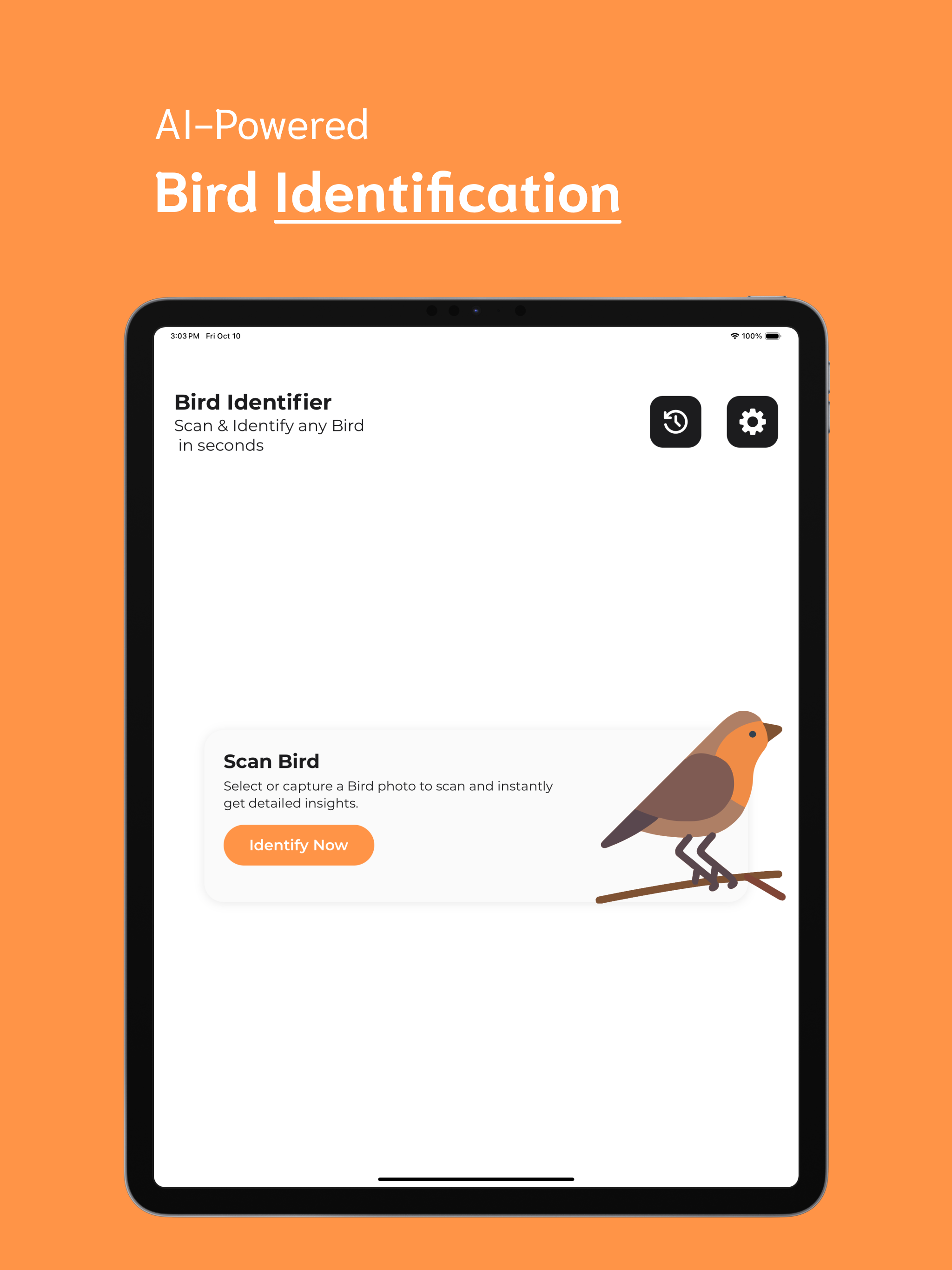 Bird Identifier - BI screenshot 6