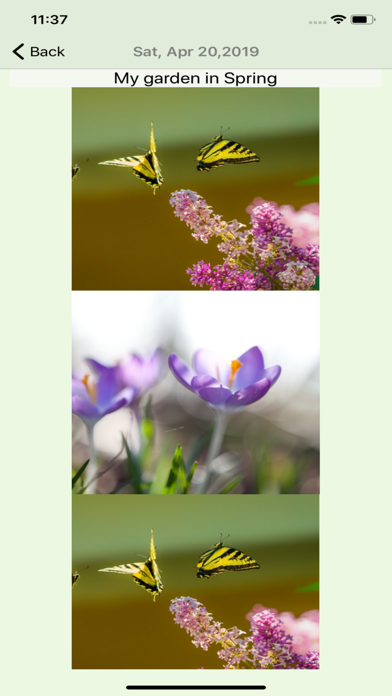 My garden year Screenshot