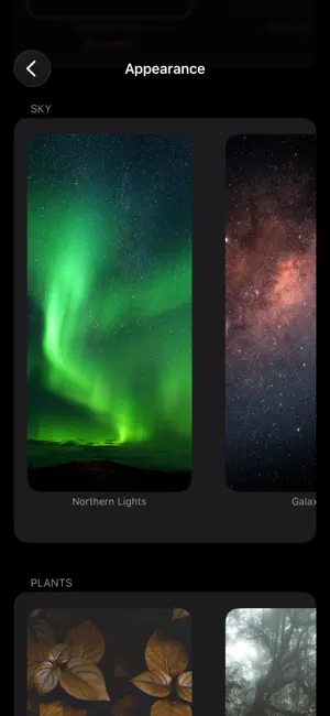 GongMeister: Meditation Timer screenshot 4