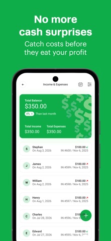 LithosPOS Dashboard Screenshot 5 of 5