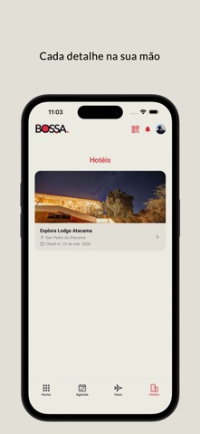 Bossa Hub screenshot