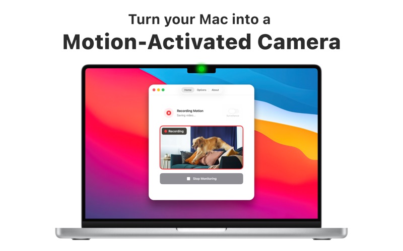 SpyCam: Hidden Security Camera Screenshot