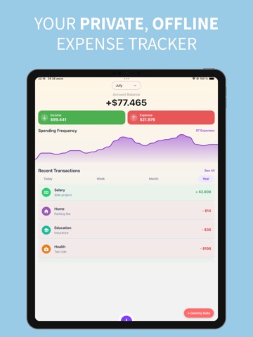 Spentra: Expense Tracker iPad screenshot