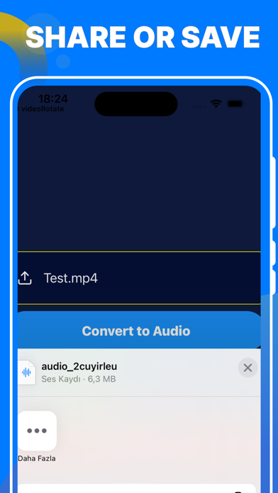 audio extractor. Screenshot