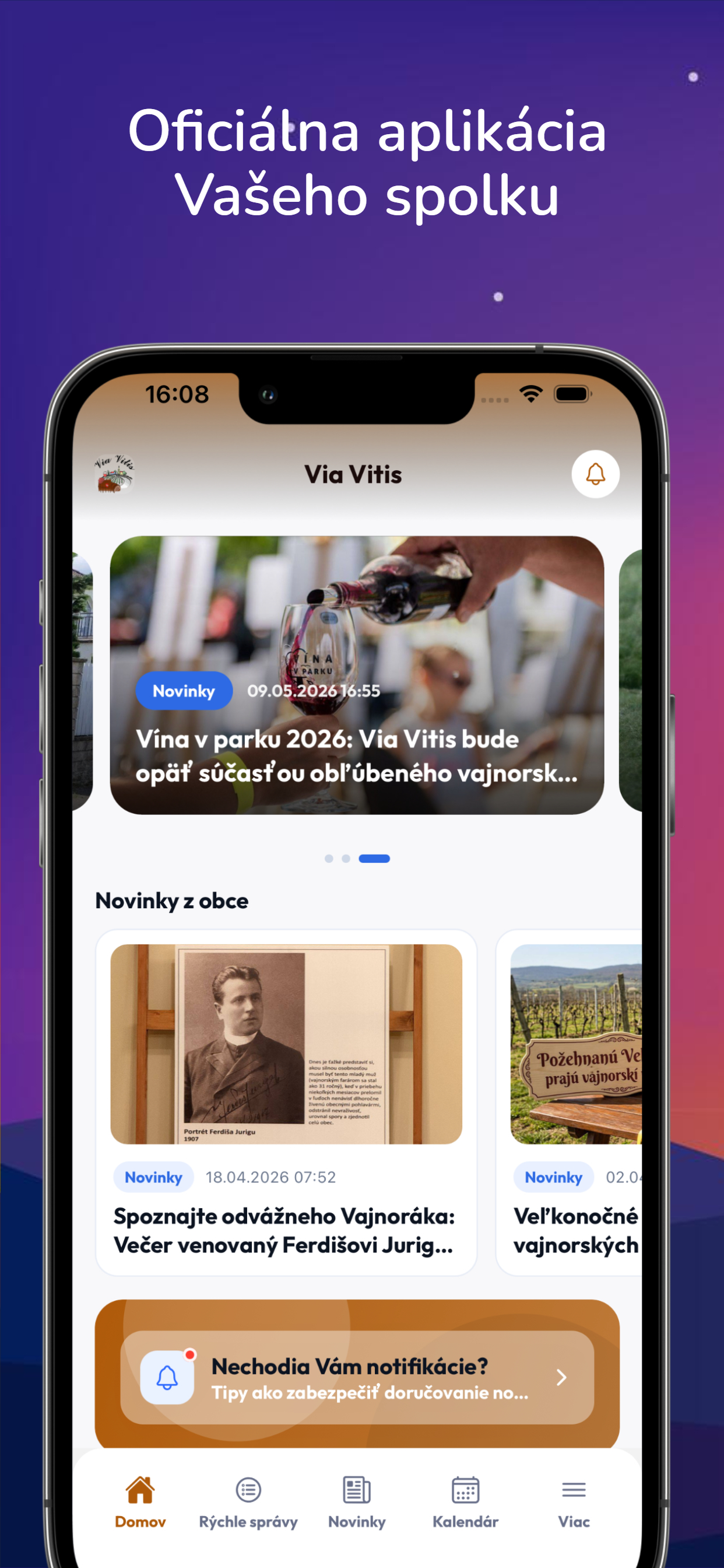 Via Vitis screenshot 4