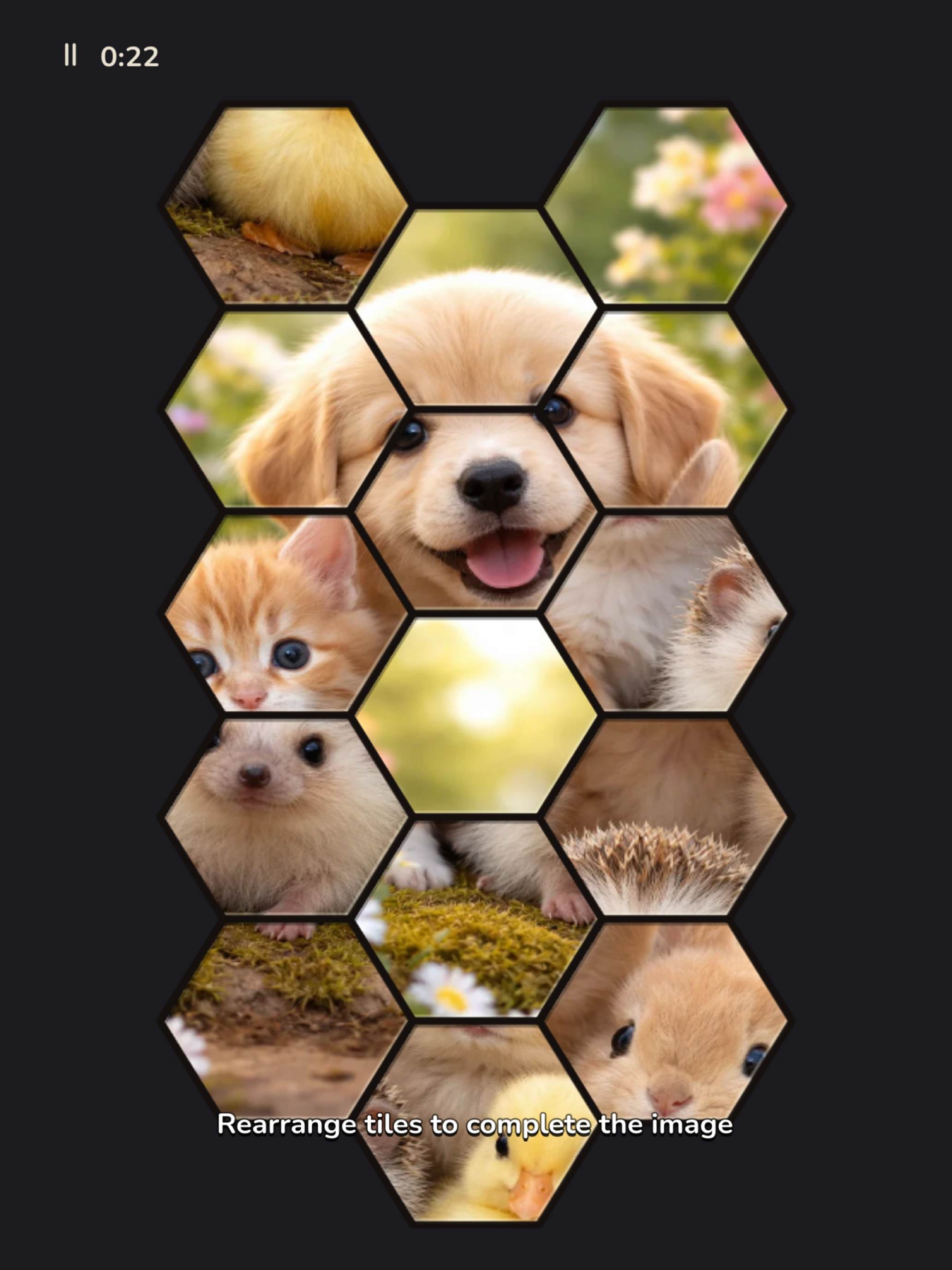 Mosaic Slide screenshot 12