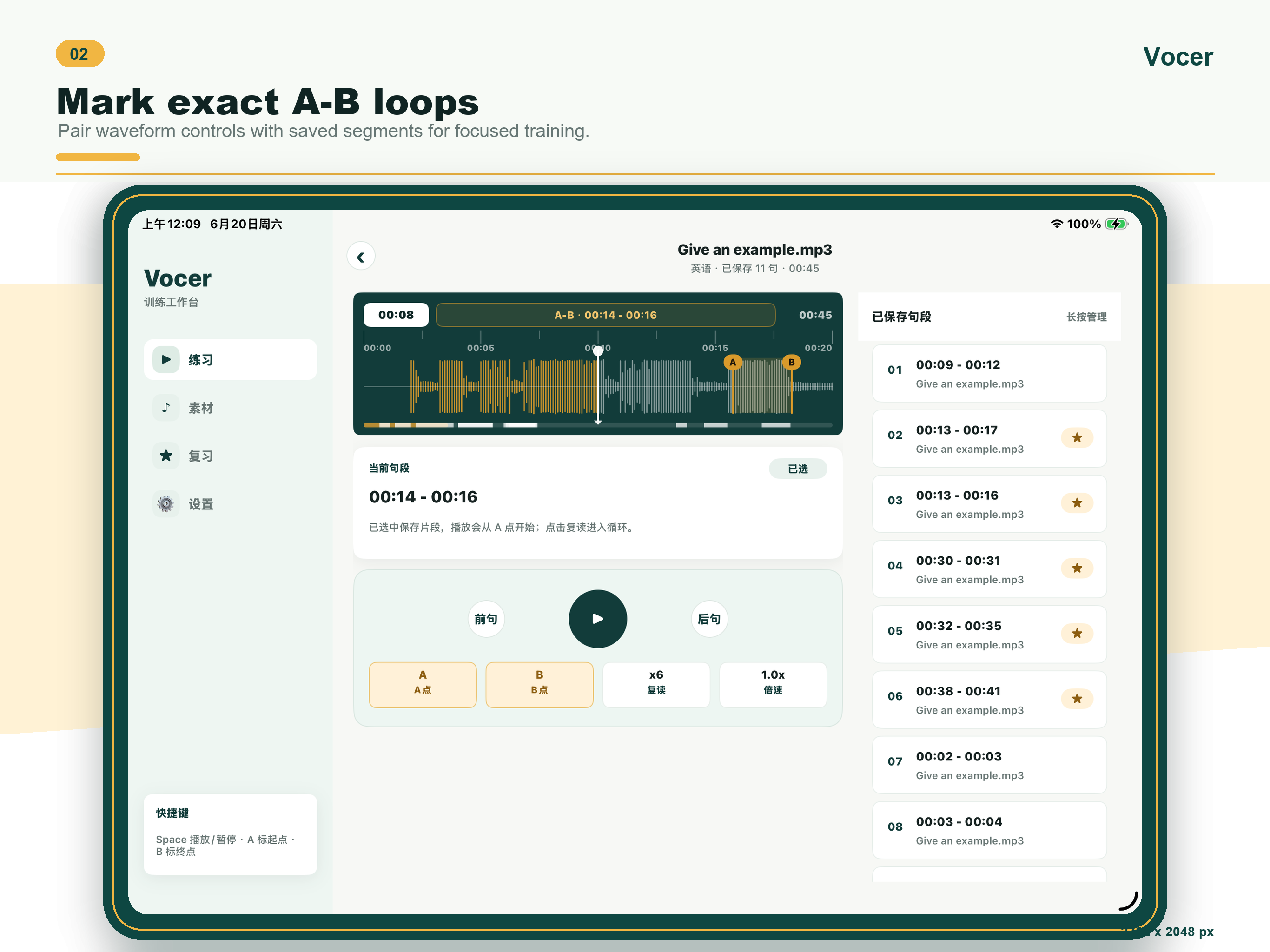 Vocer screenshot 6