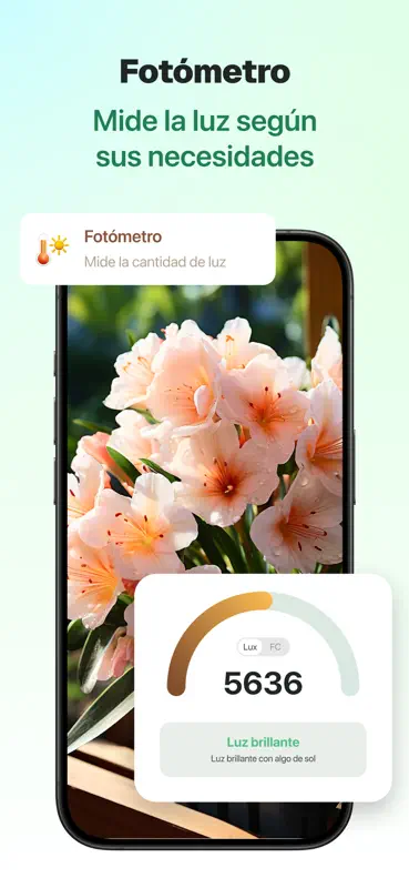 PlantSense：Identificar plantas screenshot 4 of 5
