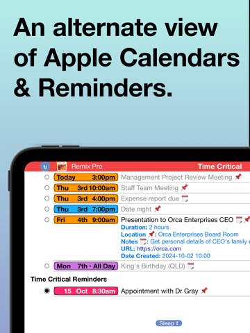 Calendar Remix: Daily Schedule iPad screenshot