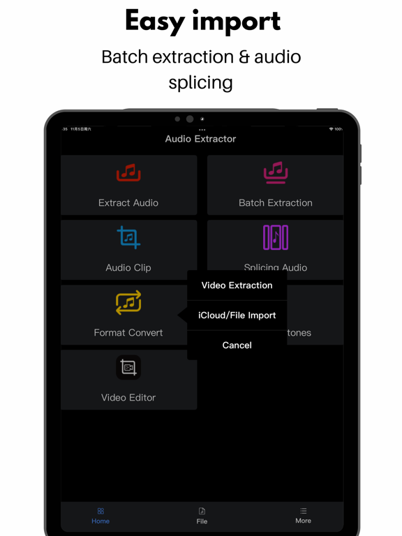Audio Extractor &MP3 Converter iPad screenshot 2 - Music app