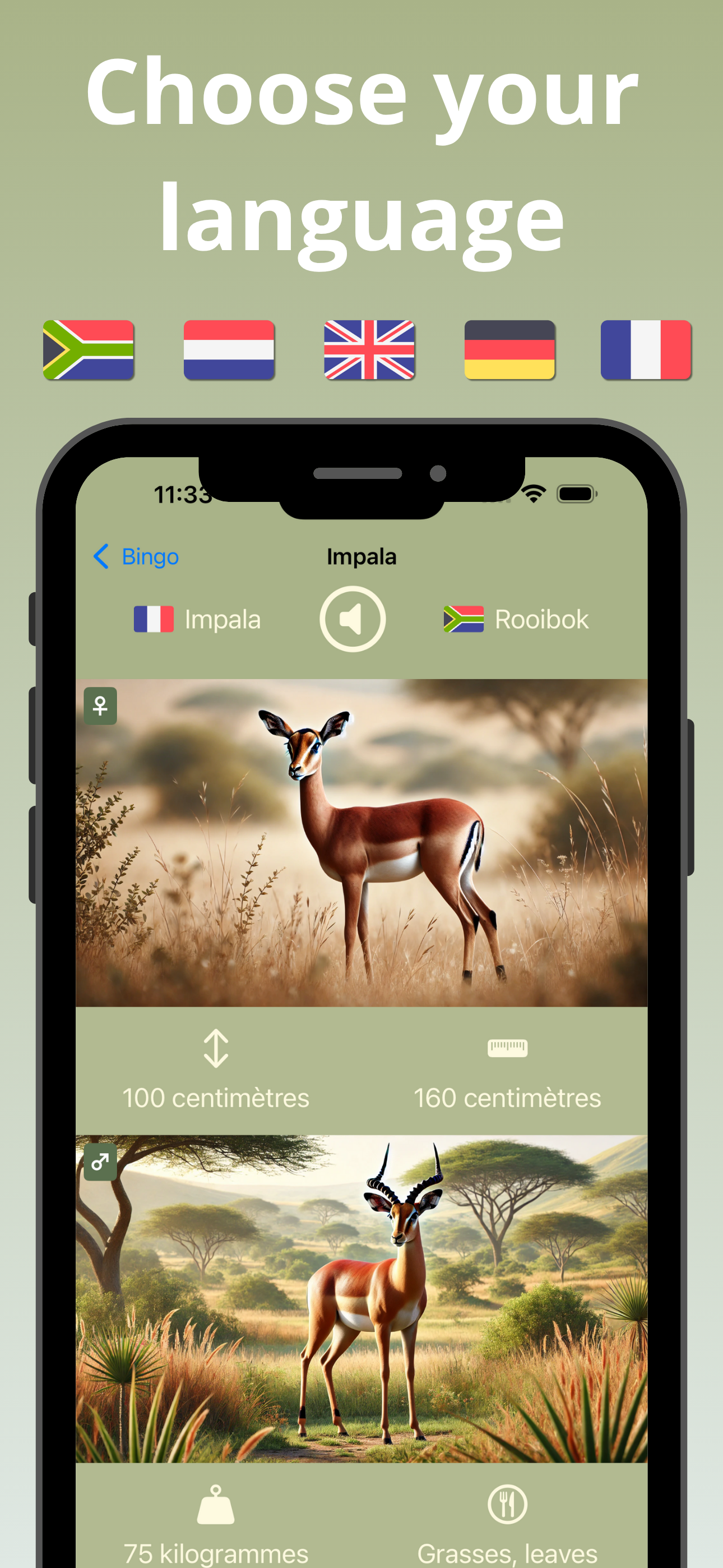 Safari Animal Bingo Game