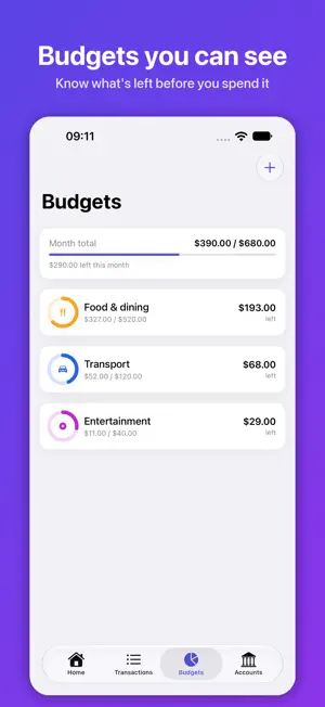 Saldy: Budget & Expenses screenshot 3