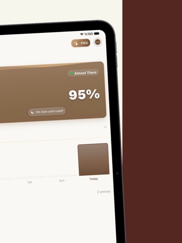 Caffeine Tracker - Daily Log iPad screenshot