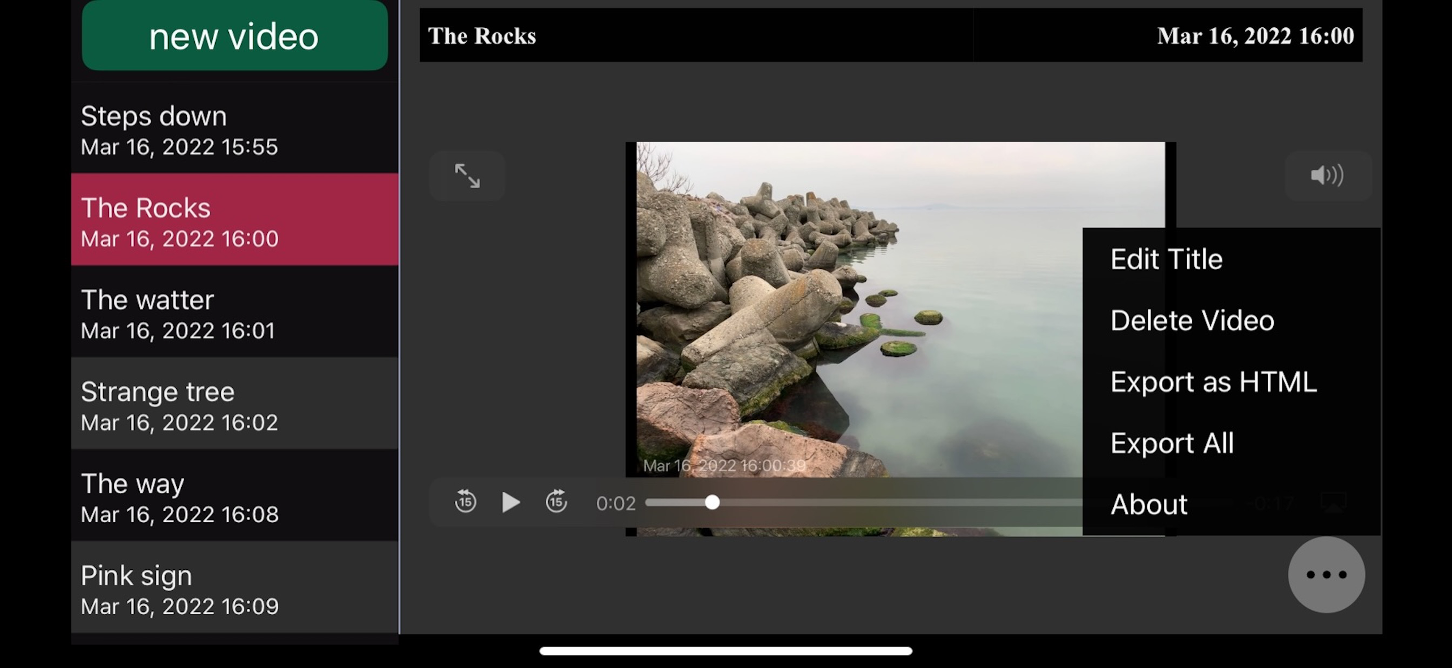 Video Journal & Notes