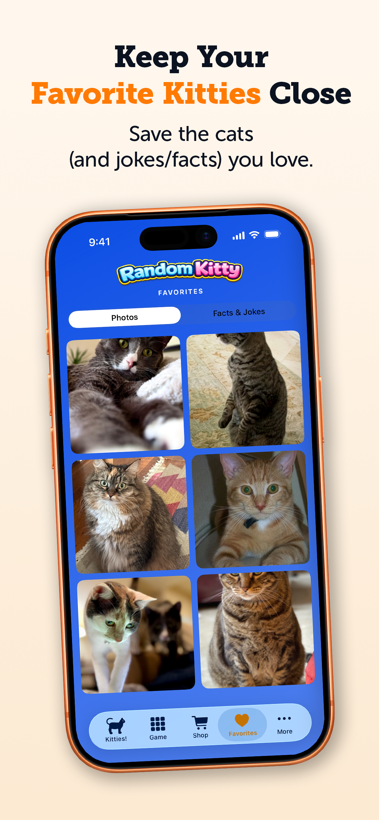 Random Kitty: Cute Cat Photos screenshot 3