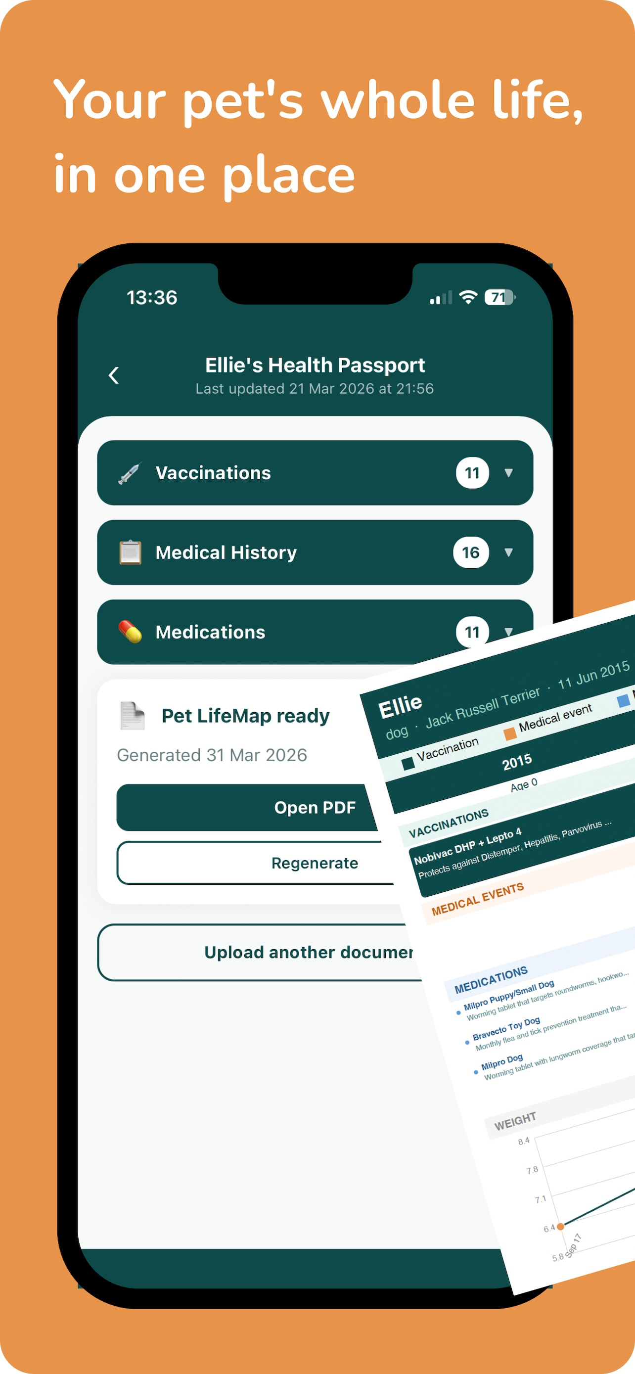 Pet Vet 247 - AI Pet Health