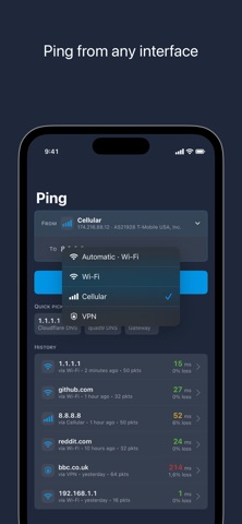 Ping by IPinfo iPhone screenshot