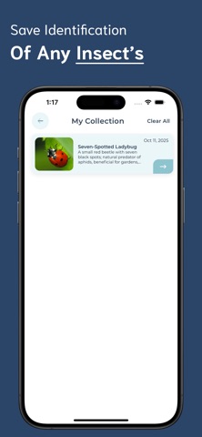 Insect Identifier - II screenshot
