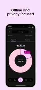 Flow: Expense tracker screenshot