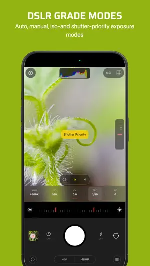 Chromatica Mark II screenshot 3
