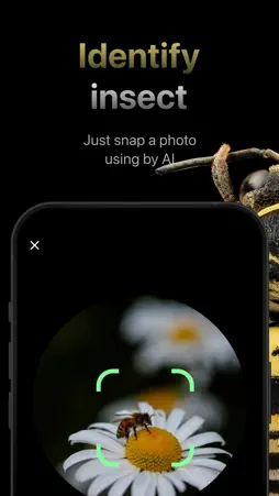 Bug identifier * Insect Finder screenshot 1