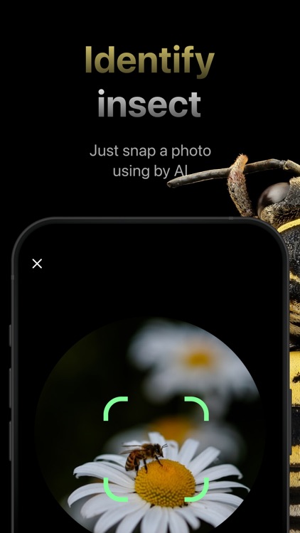 Bug identifier * Insect Finder