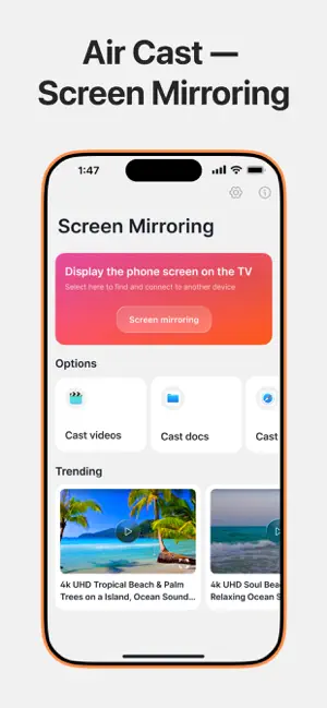 Screen Mirroring - Web Cast screenshot 3