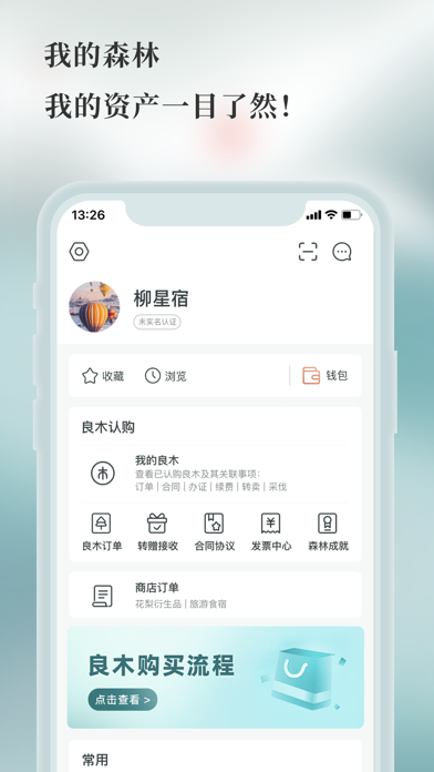 良木森林 Screenshot