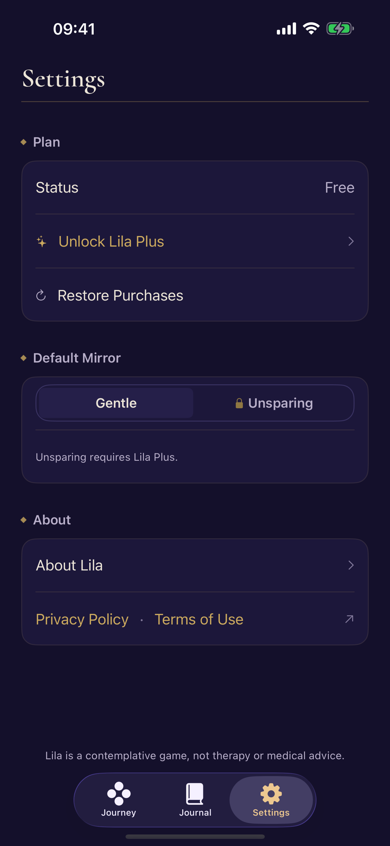 Lila: Self-Inquiry Mirror screenshot 6