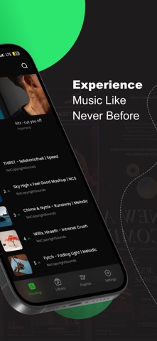 Spotube – 离线音乐播放器 : Offline screenshot
