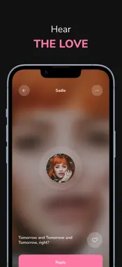 Just Add Ketchup screenshot 2