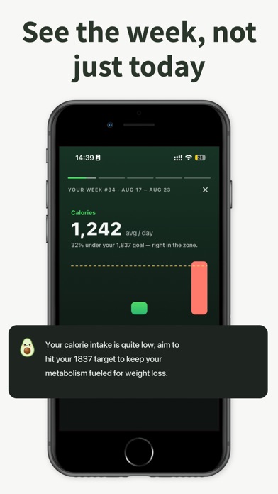 Peckish: AI Calorie Tracker Screenshot 8 of 8