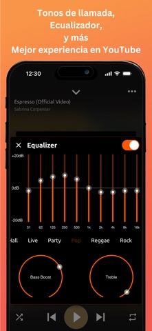 Online Música y Video Player iPhone screenshot 10