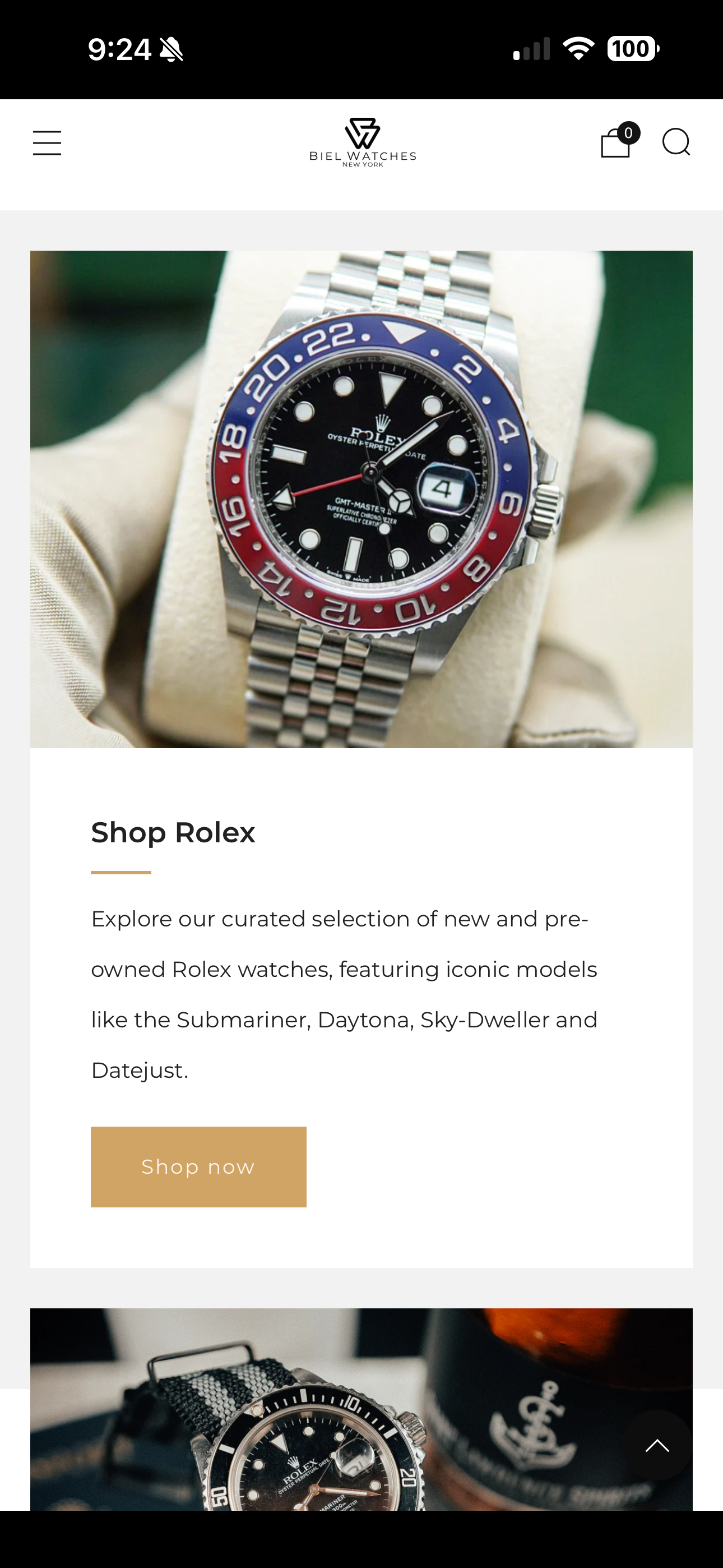 Biel Watches