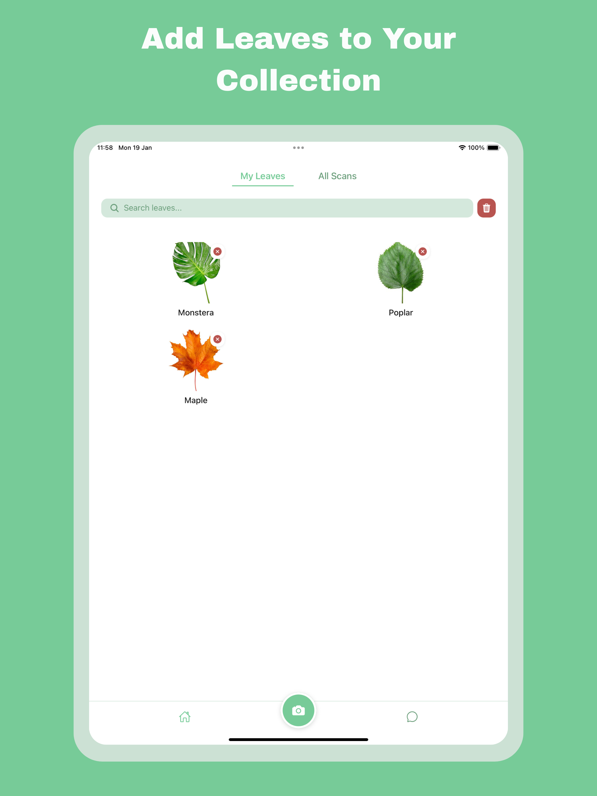 Leaf Identification: Plant ID