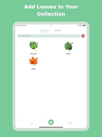 Leaf Identification: Plant ID iPad screenshot