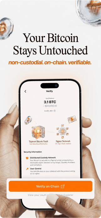 Surge Credit Screenshot 3 of 5