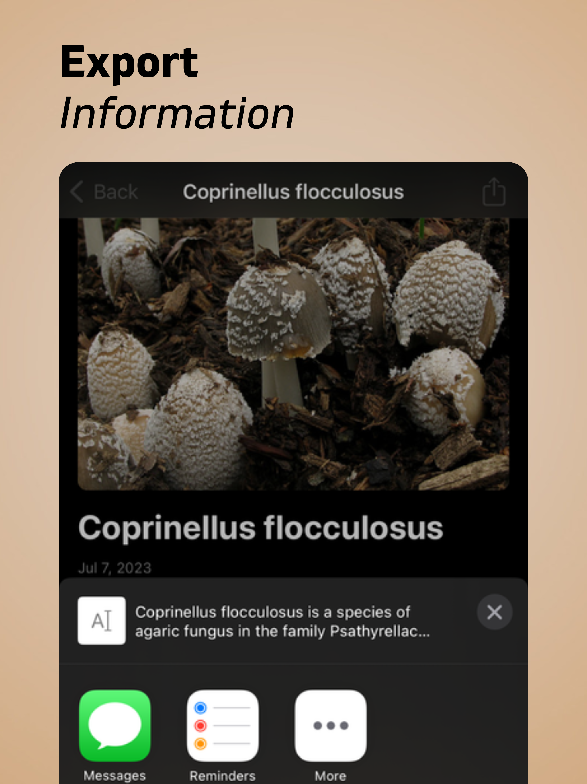 Mushroom Identification+ screenshot 11