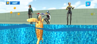 Dolphin Oasis Park Show Game screenshot 4