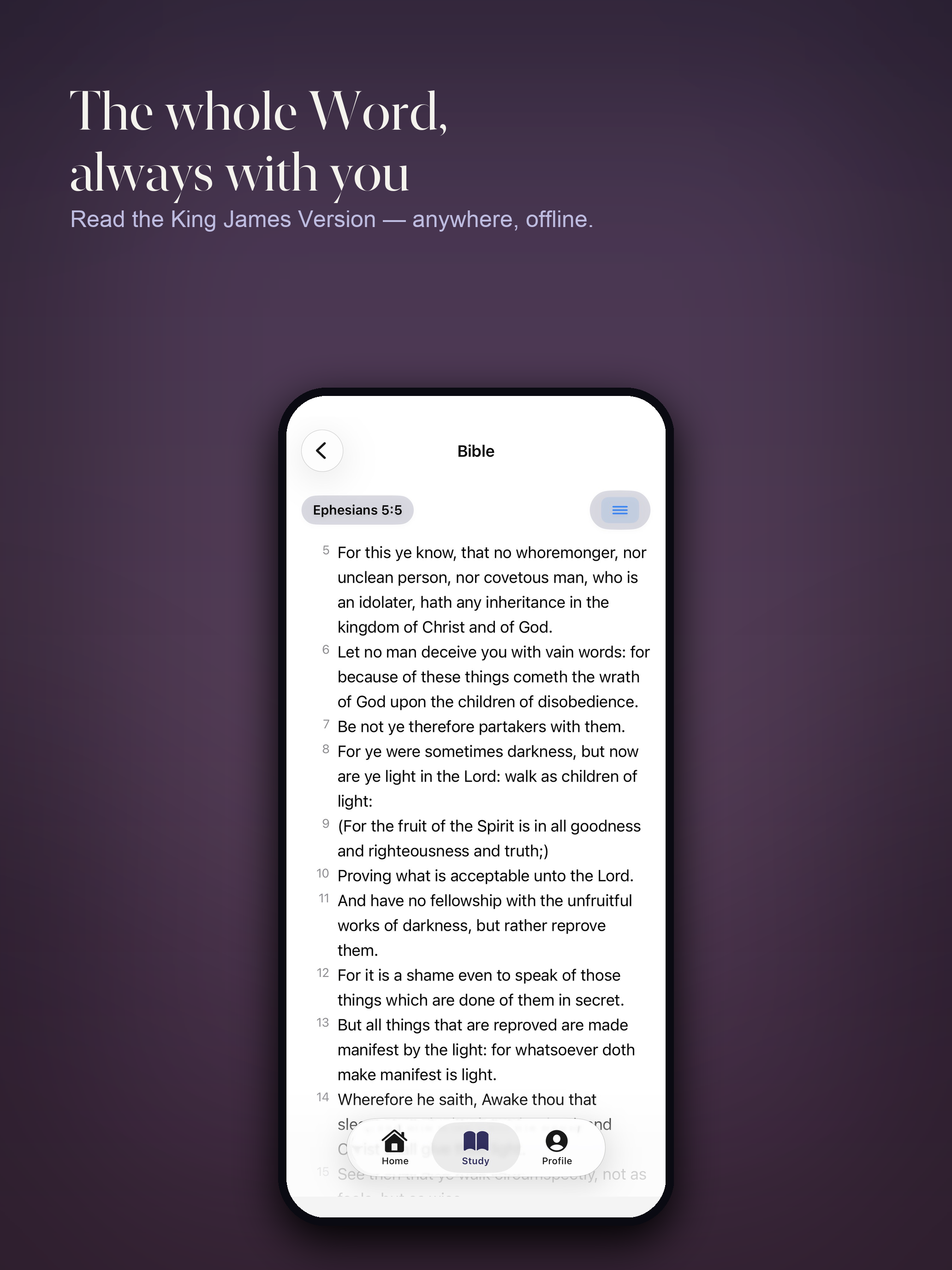 Noia: Scripture Focus screenshot 15