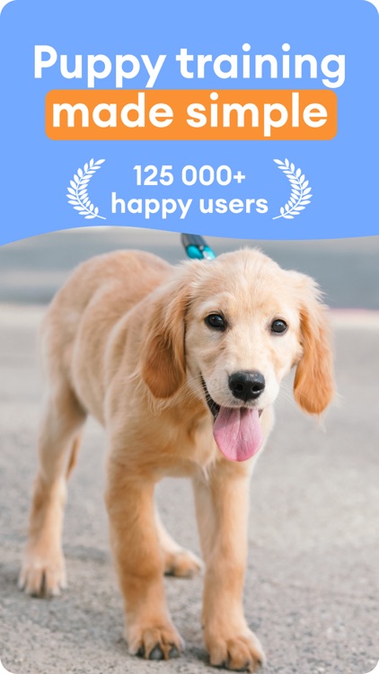 Puppy & Dog Training - Barksy