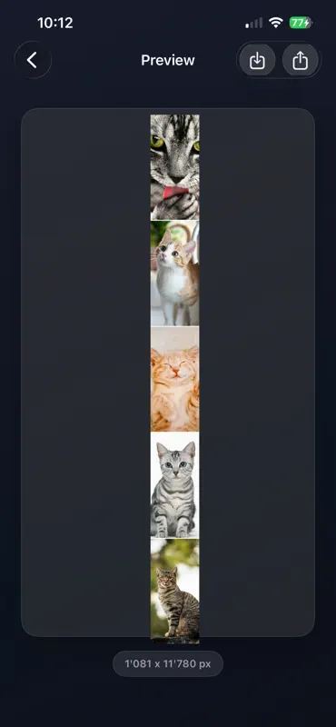 ShotMerge: Screenshot Stitcher screenshot 5 of 7