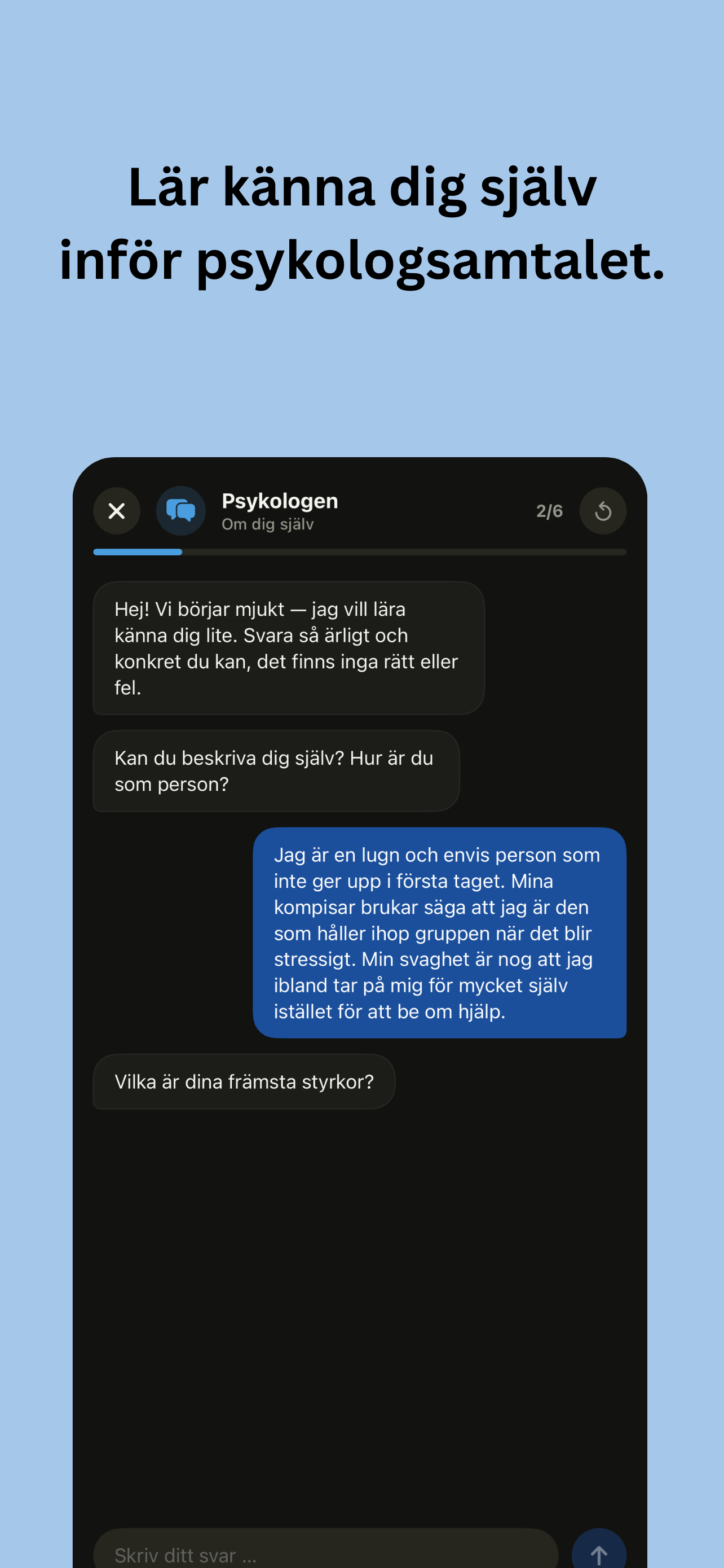 Polis- och tullappen screenshot 7