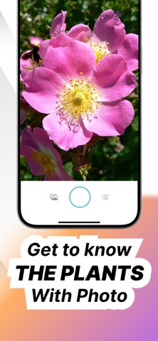 Plant Identifier & Care - Pid screenshot