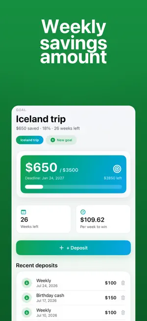 Money Savings Goal Tracker Pro screenshot 3