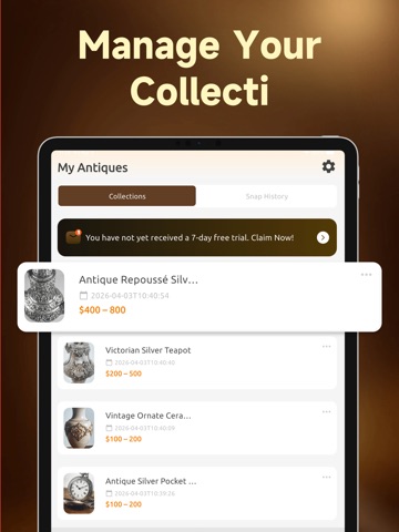 Antique Identifier | AntiqueID iPad screenshot
